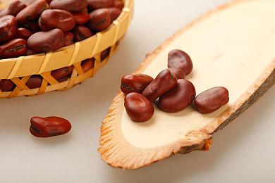 14年经典《泰拉瑞亚》最终更新接近完成！特大规模